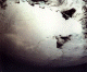 Thumbnail of image