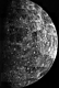 Thumbnail of image
