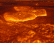 Thumbnail of image