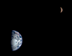 Thumbnail of image
