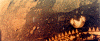Thumbnail of image