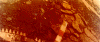 Thumbnail of image