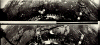 Thumbnail of image