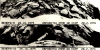 Thumbnail of image