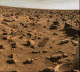 Thumbnail of image